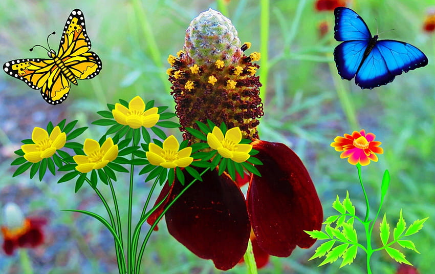 Wildflower Fantazja, fantazja, pewny, wzmocniony, kwiat Tapeta HD