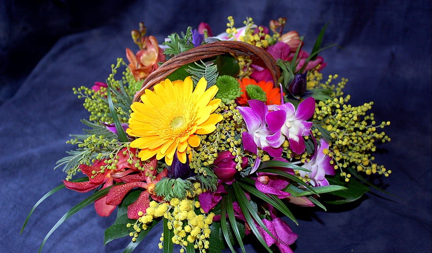 Flowers, Chrysanthemum, Gerberas, Registration, Typography, Basket, Composition, Mimosa HD wallpaper