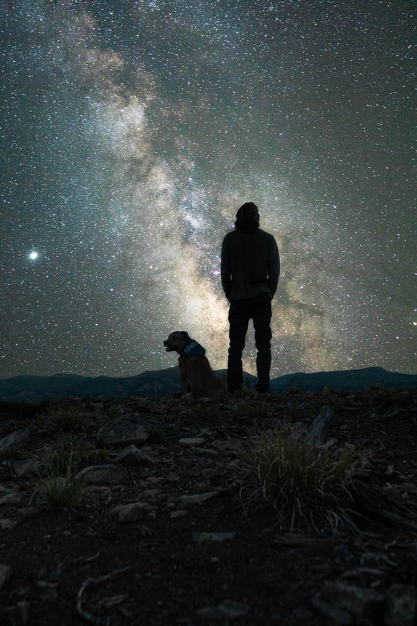 Night, , , Dog, Starry Sky, Nebula, Human, Person HD phone wallpaper