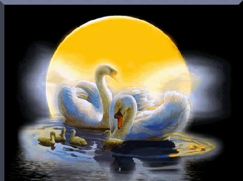 Moon swans, night, swimming, golden, swans, moon, family, water, harvest moon HD wallpaper