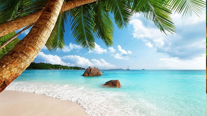 Seychelles, Beach, Sand, Palm Trees, Sea, Tropical, Summer, Exotic ...