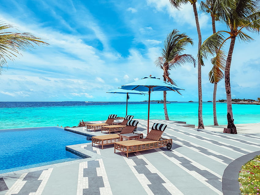 Palms, , , Ocean, Relaxation, Rest, Sun Lounger, Umbrella, Deck Chair HD wallpaper
