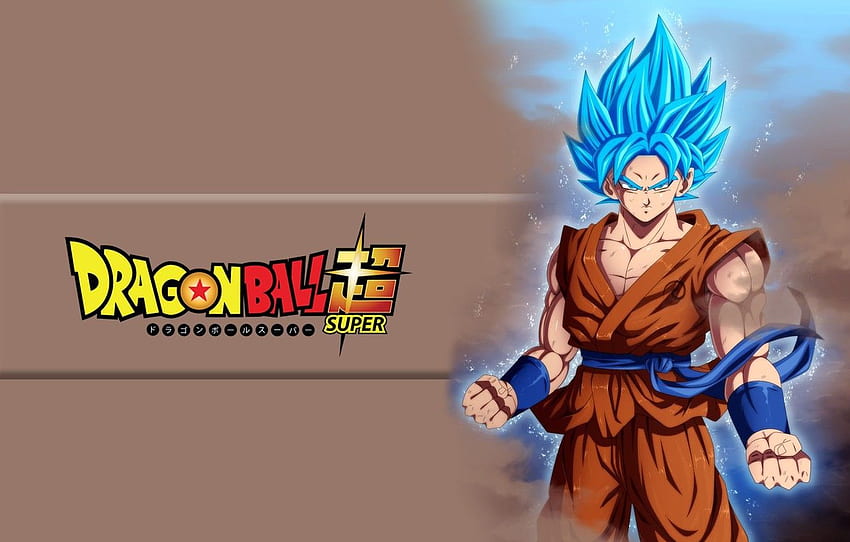 logo, game, star, fighter, anime, man, transformation, Big God Goku HD wallpaper