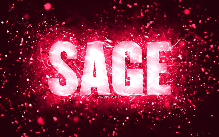 Happy Birtay Sage, , pink neon lights, Sage name, creative, Sage Happy ...