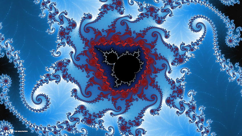 Mandelbrot set and fractals backgrounds HD wallpaper | Pxfuel