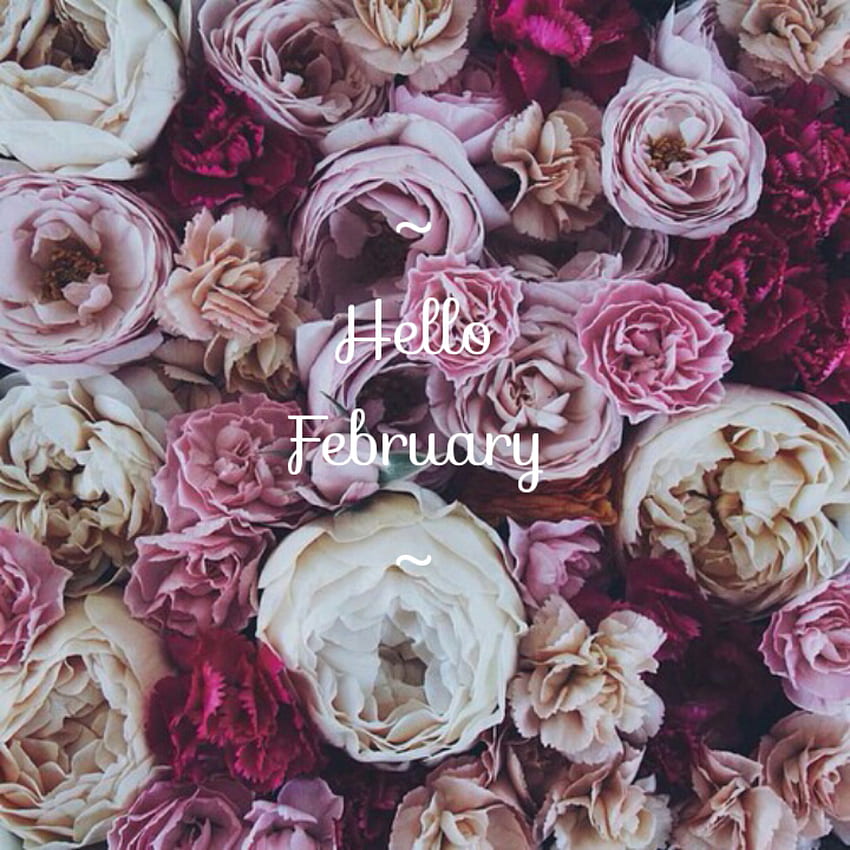 Free download Hello February mobile wallpaper iPhone Android Valentines  1080x1920 for your Desktop Mobile  Tablet  Explore 26 February  Backgrounds  February Desktop Wallpaper February Wallpaper February 2016  Wallpaper Calendar