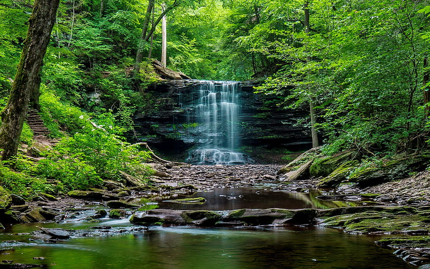 Waldwasserfall, schön, Frühling, Felsen, Sommer, Wasserfall, Bäume, Grün, Kaskaden, Wald HD-Hintergrundbild