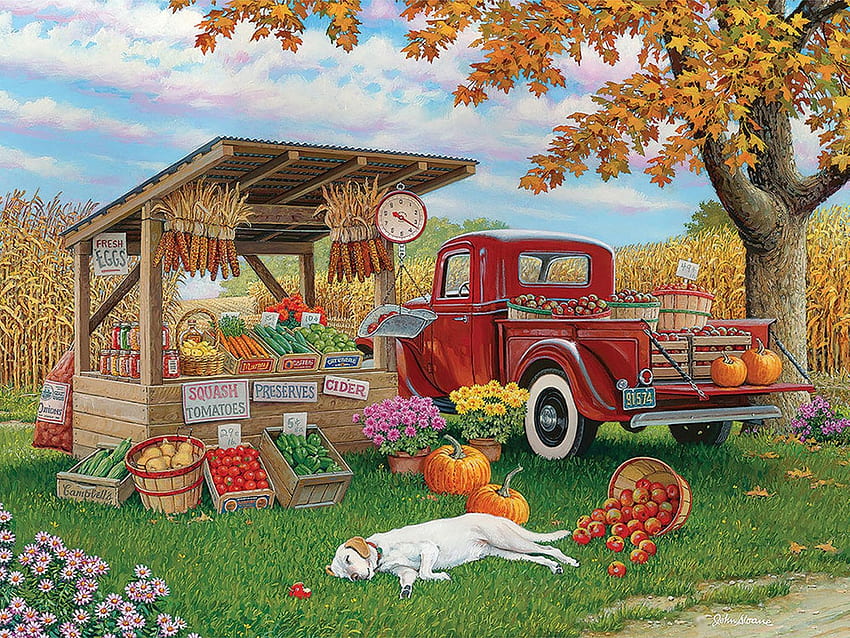 秋の味覚、リンゴ、葉、絵、車、色、花、木、犬、カボチャ、畑 高画質の壁紙