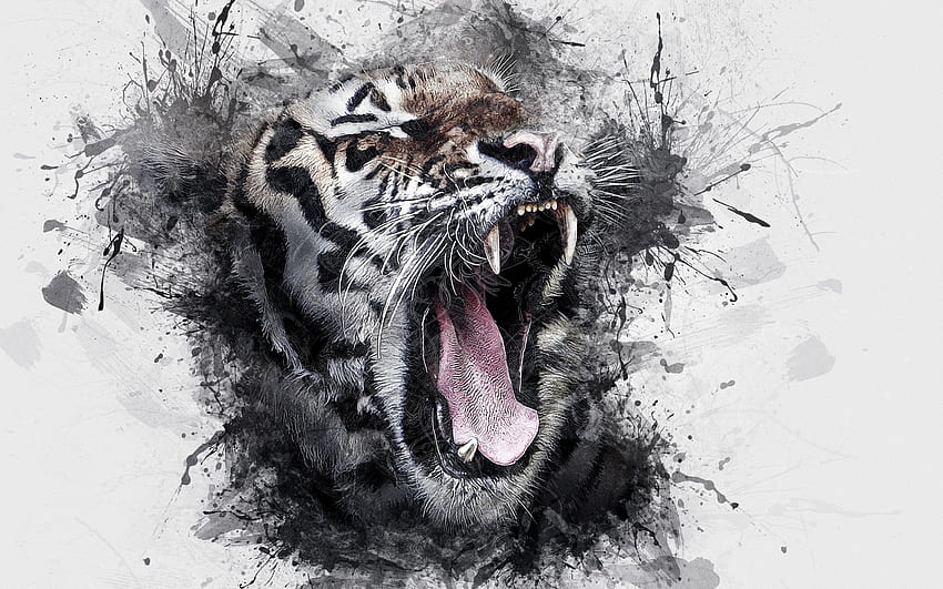 White Tiger, Roar, Wild, Artwork, Acquerello per MacBook Pro 15 pollici, Aggressive Tiger Sfondo HD