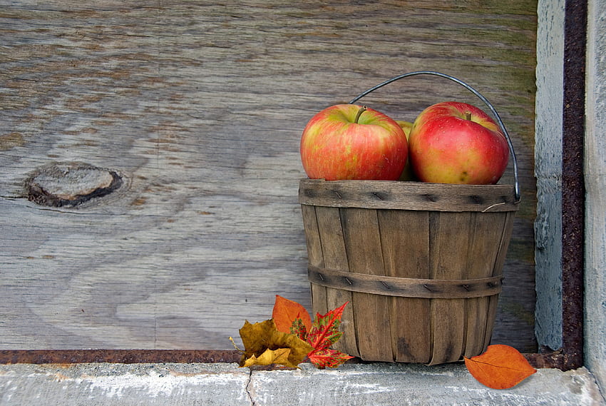 リンゴのバスケット、グラフィック、バレル、秋、バスケット、葉、果物、秋、リンゴ、自然、葉 高画質の壁紙