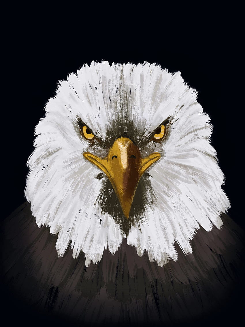 Art, Bird, Head, Eagle HD phone wallpaper
