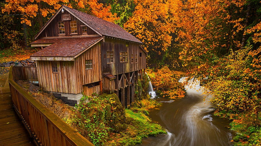 Molino de agua Tag : Molinos Molino de agua Bosque Huracán Agua, Vermont en otoño fondo de pantalla