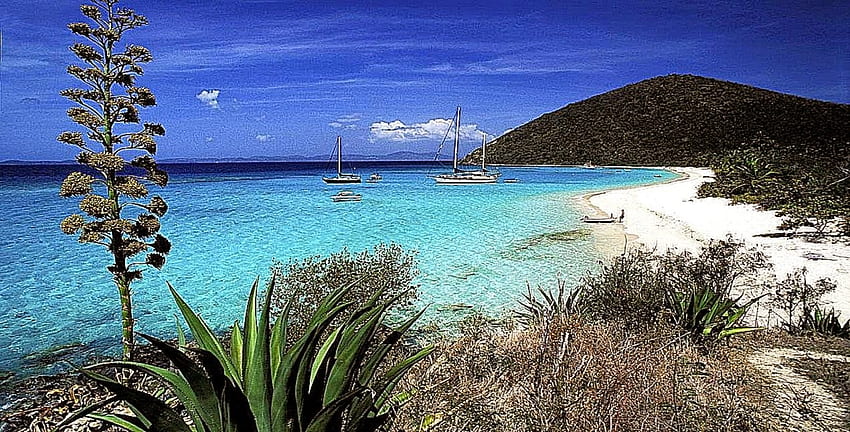 Tortola Ilhas Virgens Britânicas Kb British Beach [] para seu celular e tablet. Explore as Ilhas Virgens Britânicas. Ilha para My, Ilhas do Caribe papel de parede HD