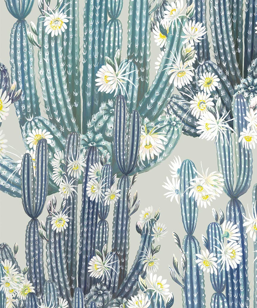 Botánico - Agregue vida a sus paredes • Milton & King, Vintage Cactus fondo de pantalla del teléfono