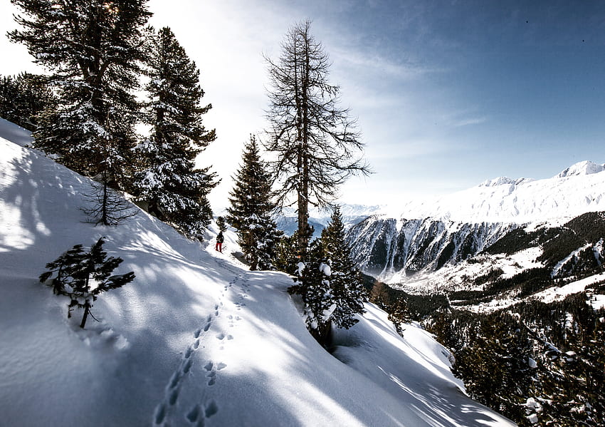Natureza, Montanhas, Neve, Vestígios, Esquiador papel de parede HD