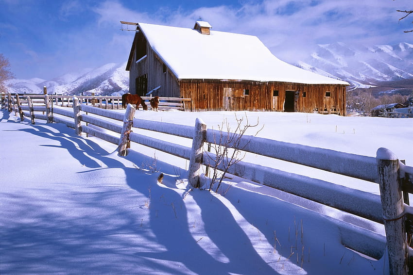 Nature, Horses, Snow, Fence, Farm HD wallpaper