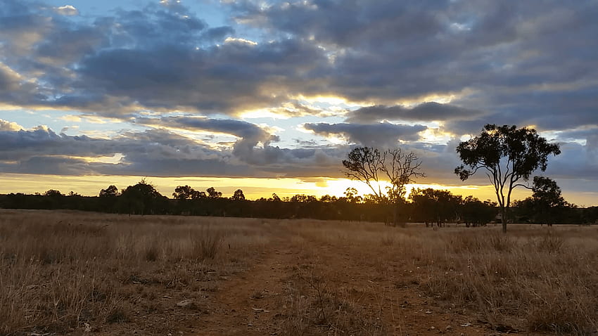 Australian Landscape Dirt Road Sunset / Sunrise Stock Video Footage, Australian Countryside HD wallpaper