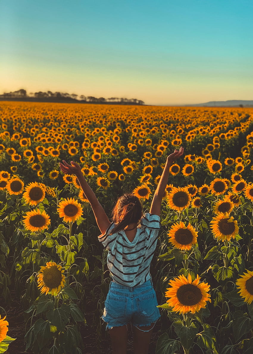 Sonniger Tag, Sonnenblumen, Bauernhof, Frau HD-Handy-Hintergrundbild