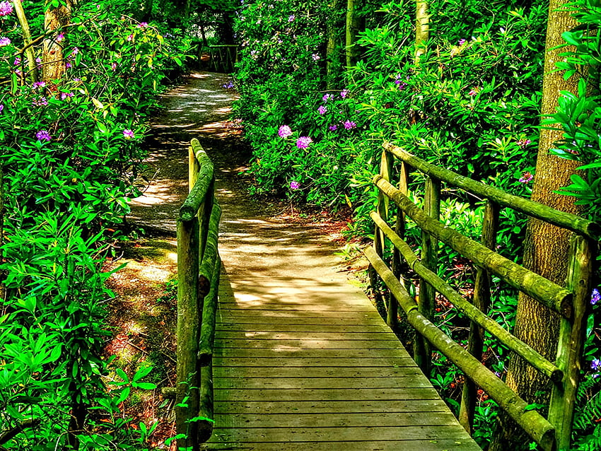 градински мост, дървета, градина, цветя, дървен мост HD тапет
