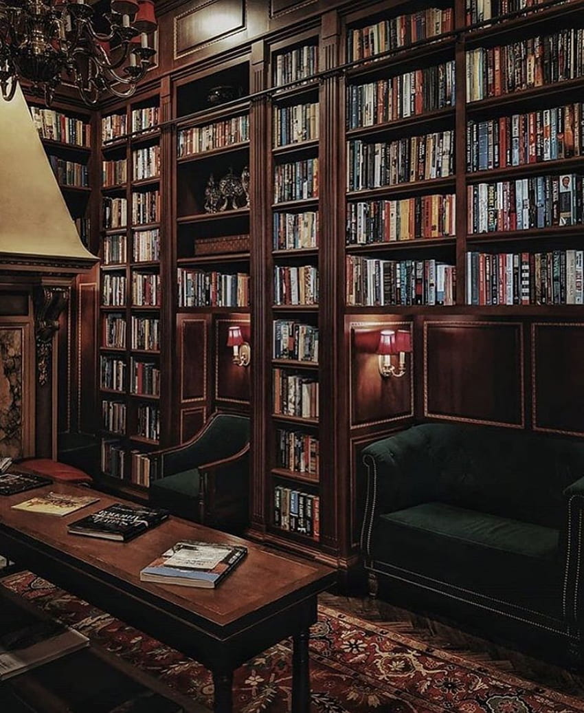 livros biblioteca do hotel. estética escura da academia. leitura. Minha casa ideal, Casa escura, Estantes velhas Papel de parede de celular HD