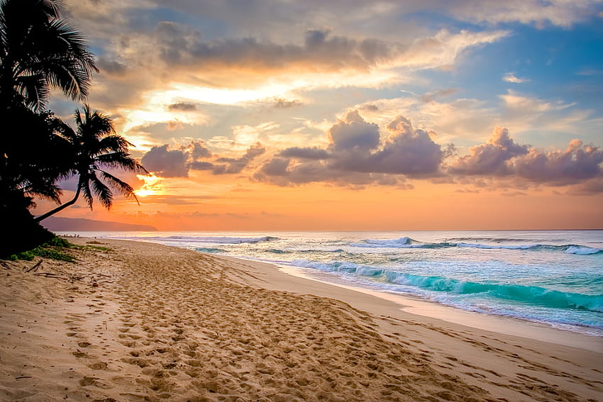 พระอาทิตย์ตก ต้นปาล์ม ฤดูร้อน สวรรค์ ทะเล ชายหาด มหัศจรรย์ วอลล์เปเปอร์ HD