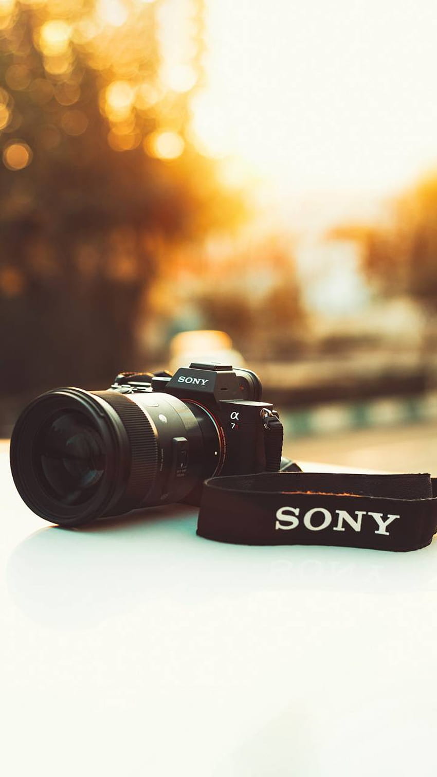 The State of the Global Digital Camera Market in 2023