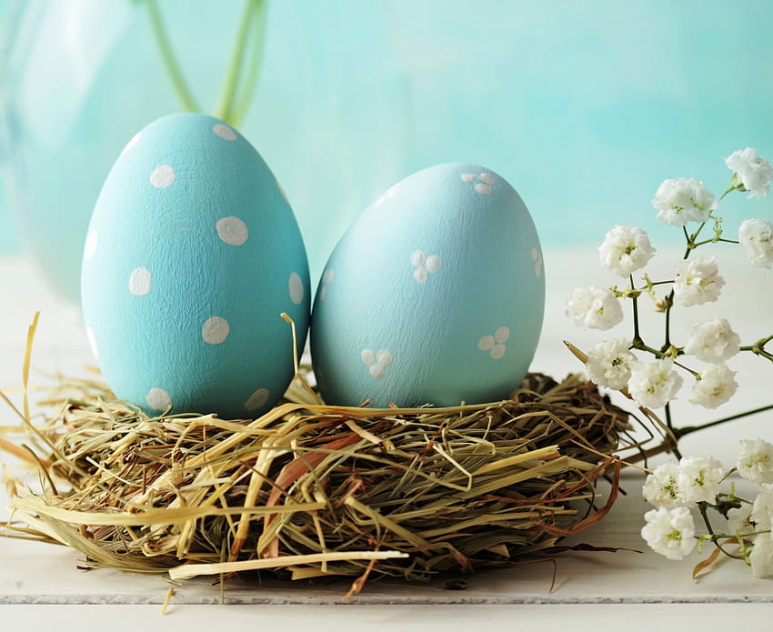 Easter Eggs, blue, pastel, easter, flowers, eggs, nest HD wallpaper