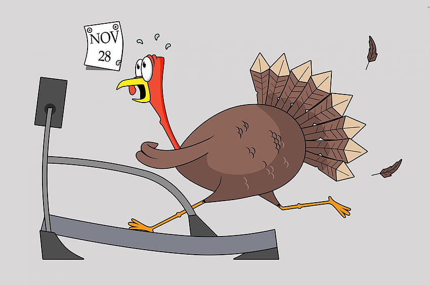 Funny animal thanksgiving HD wallpapers | Pxfuel