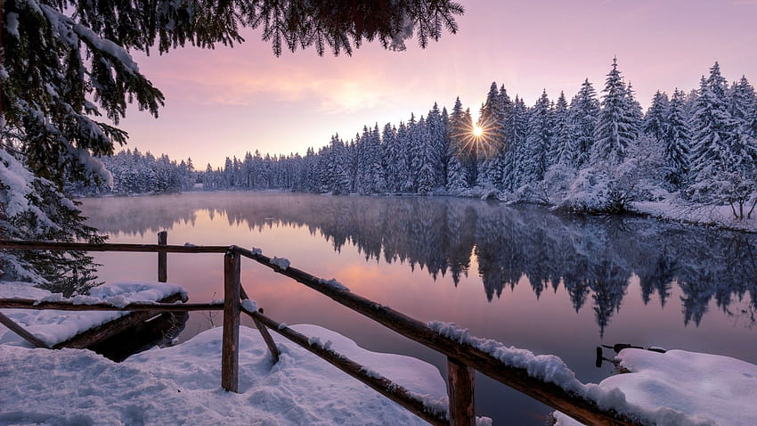 Winter Schnee Bäume Natur im Freien Laptop voll HD-Hintergrundbild