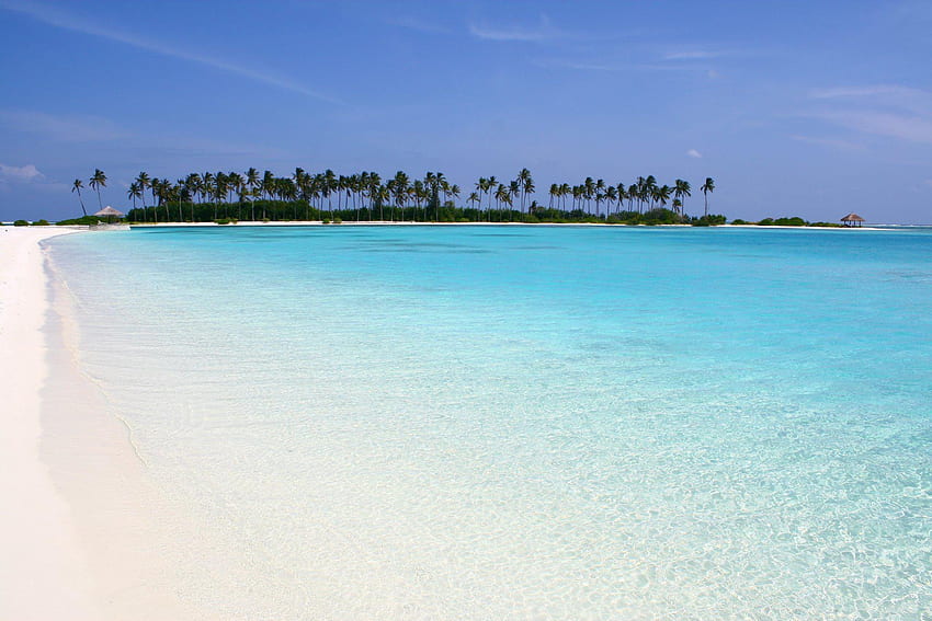 The Perfect Beach Maldives Island, island, blue, sand, tropical, maldives, perfect, beach, holiday, desert, sun, ocean, palm trees, sea, white, escape, paradise, lagoon, retreat, atoll HD wallpaper