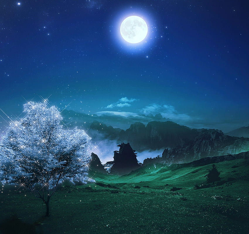 Night Nature For Pc - Beautiful Blue Night Sky - - HD wallpaper | Pxfuel