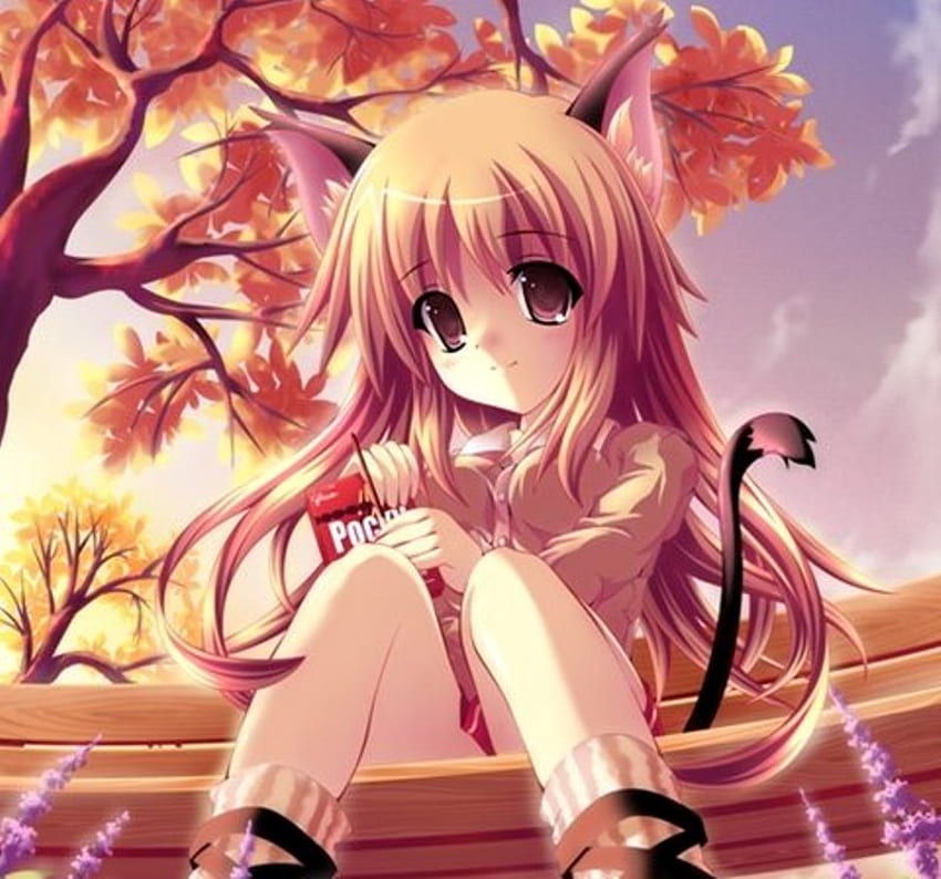 Autumn Doll, bench, autumn, girl, orange, tree HD wallpaper