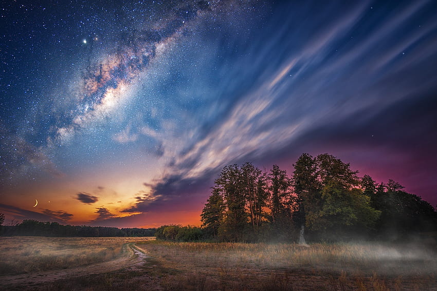 Milky way, clouds, night, sky, landscape, tree, stars HD wallpaper