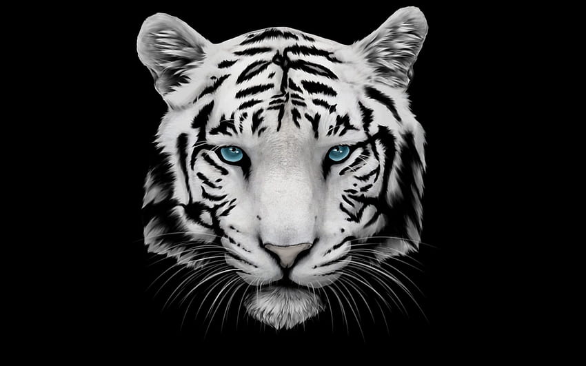 Niebieskie oczy Biały smok, tygrys i smok Tapeta HD