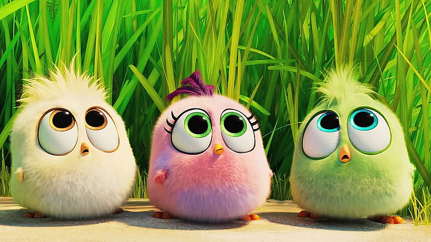 Baby Birds The Angry Birds Movie 2 43280, Cute Angry Birds papel de parede HD