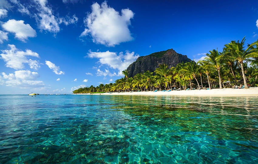 rock, palm trees, the ocean, coast, boats, Mauritius HD wallpaper