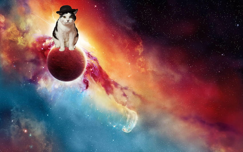 Space Cat Wide, Hipster Galaxy Cat HD wallpaper
