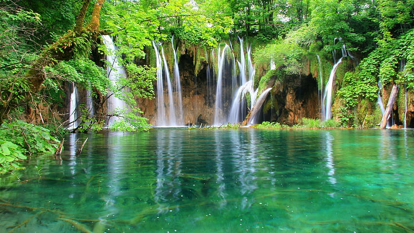 Wodospady, przyroda, woda, las, dżungla Tapeta HD
