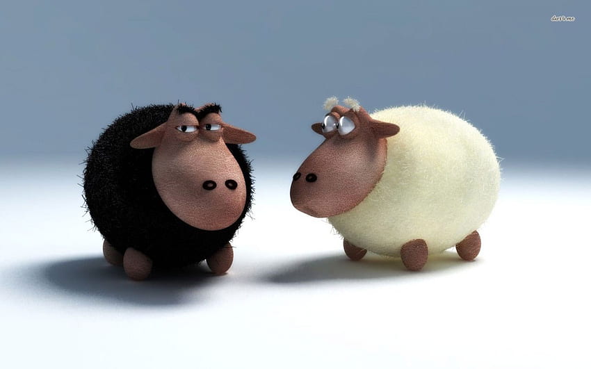 Black and white sheep - Funny HD wallpaper