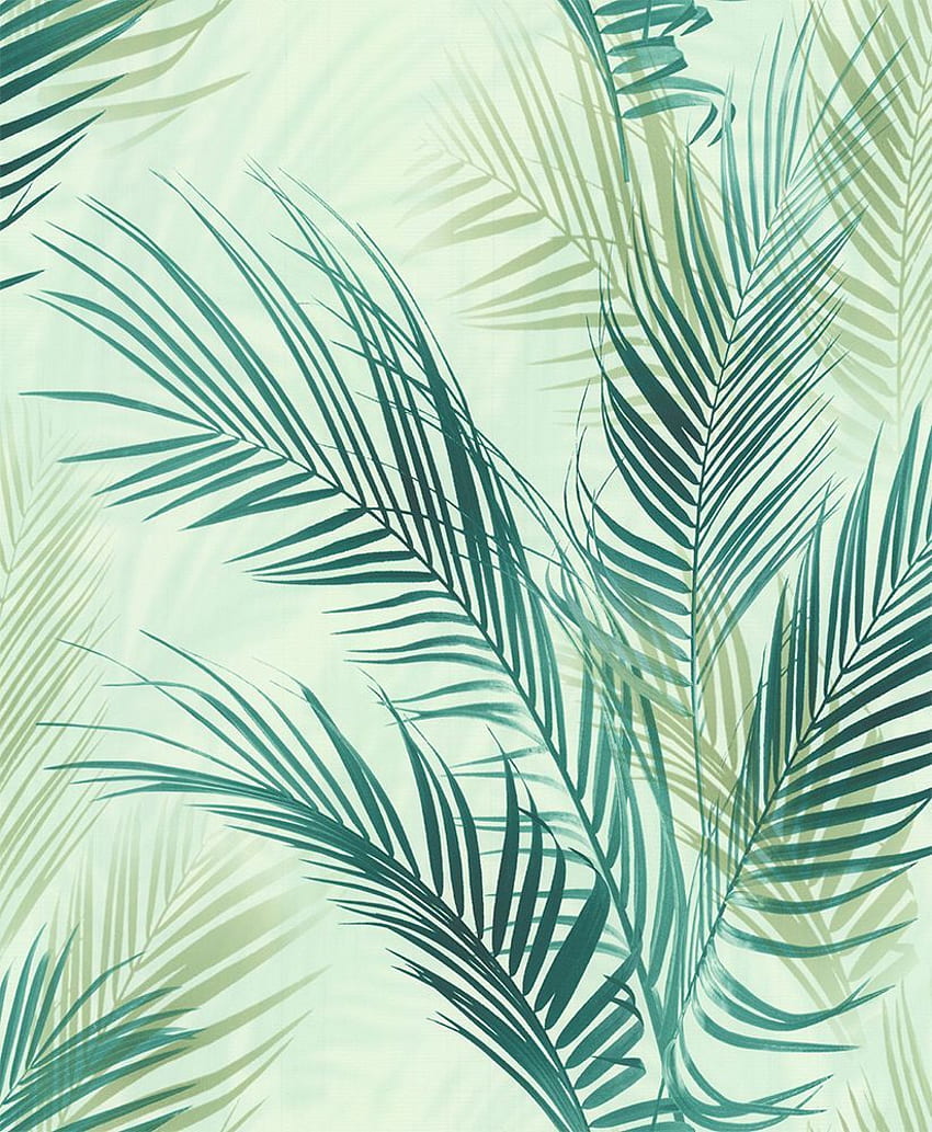 Bamboo Palm от Albany - Blue Green - : Директно. Зелено, Палмово листо, Зелена спалня, Бамбукови листа HD тапет за телефон