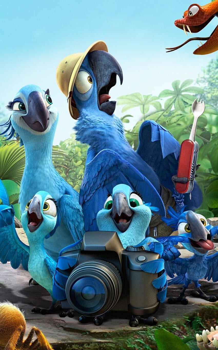 Rio 2 Movie Nexus 7, Samsung Galaxy Tab 10, Note Android Tablets , ,  Background, and , Rio Birds HD phone wallpaper | Pxfuel