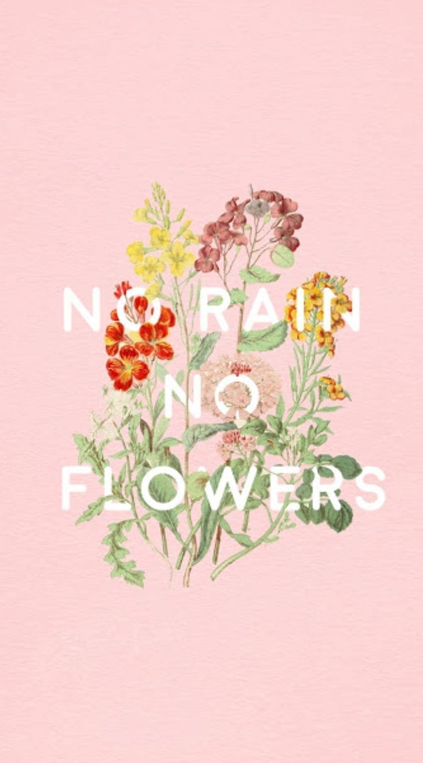 Best Motivational Quotes : no rain no flowers. Leading Quotes Magazine, find best quotes collection with inspirational, motivational and wise quotations on what is best and being the best HD phone wallpaper