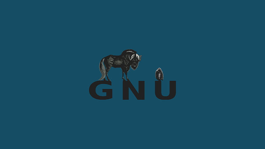Minimalistic GNU . Trisquel GNU Linux - Run !, King Gnu HD wallpaper