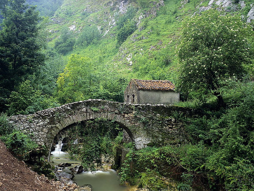 For My Friend Alba-25, espagne, pont, rivière, asturies Fond d'écran HD