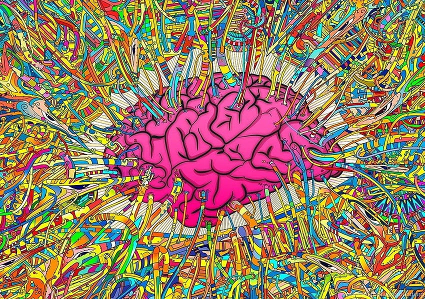 뇌 상상 배경, 뇌 예술 HD 월페이퍼