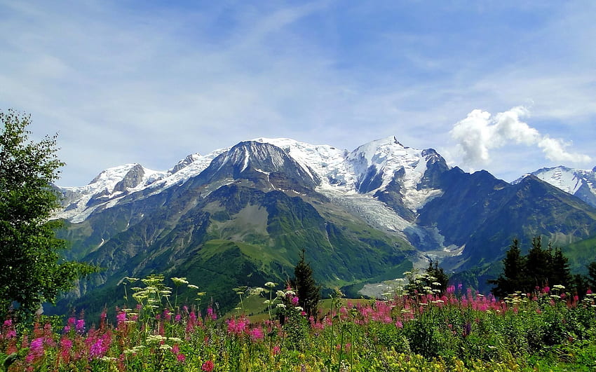 ธรรมชาติ ดอกไม้ ภูเขา ฤดูร้อน จุดสุดยอด เทือกเขาแอลป์ ความสด ยอดเขา วอลล์เปเปอร์ HD
