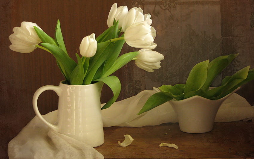 tulipanes blancos, tulipán, grafía, tulipanes, belleza, tulipán blanco, jarrones, pétalos, blanco, jarrón, romance, hermoso, bodegón, bonito, verde, con amor, naturaleza, romántico, flores, encantador, para ti fondo de pantalla