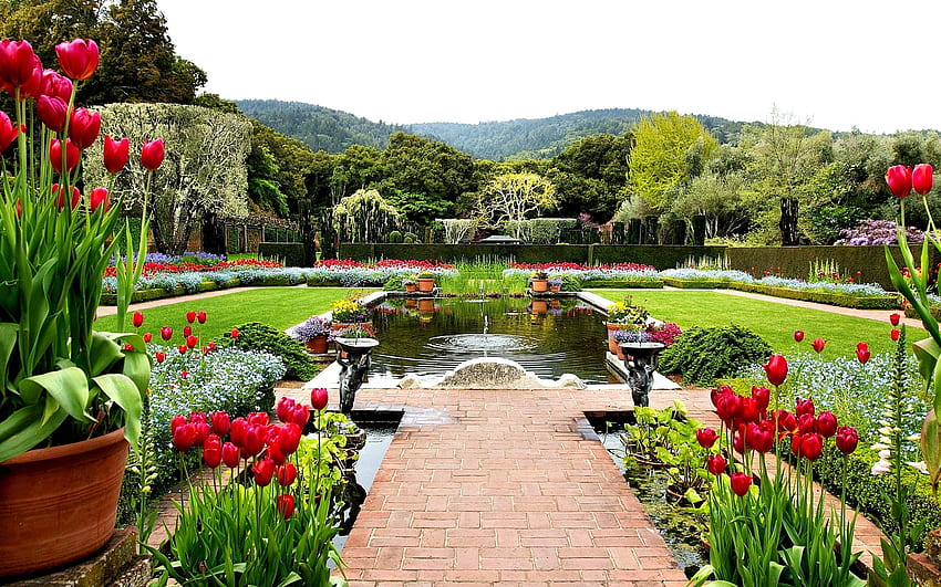 Flower Park, hills, blossoms, fountain, trees, spring, tulips, pond HD wallpaper