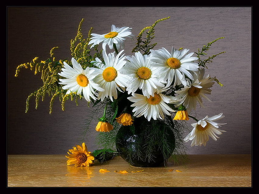 Stilleben, Vase, schön, nett, Gänseblümchen, zart, Blumen, lieblich, Harmonie HD-Hintergrundbild