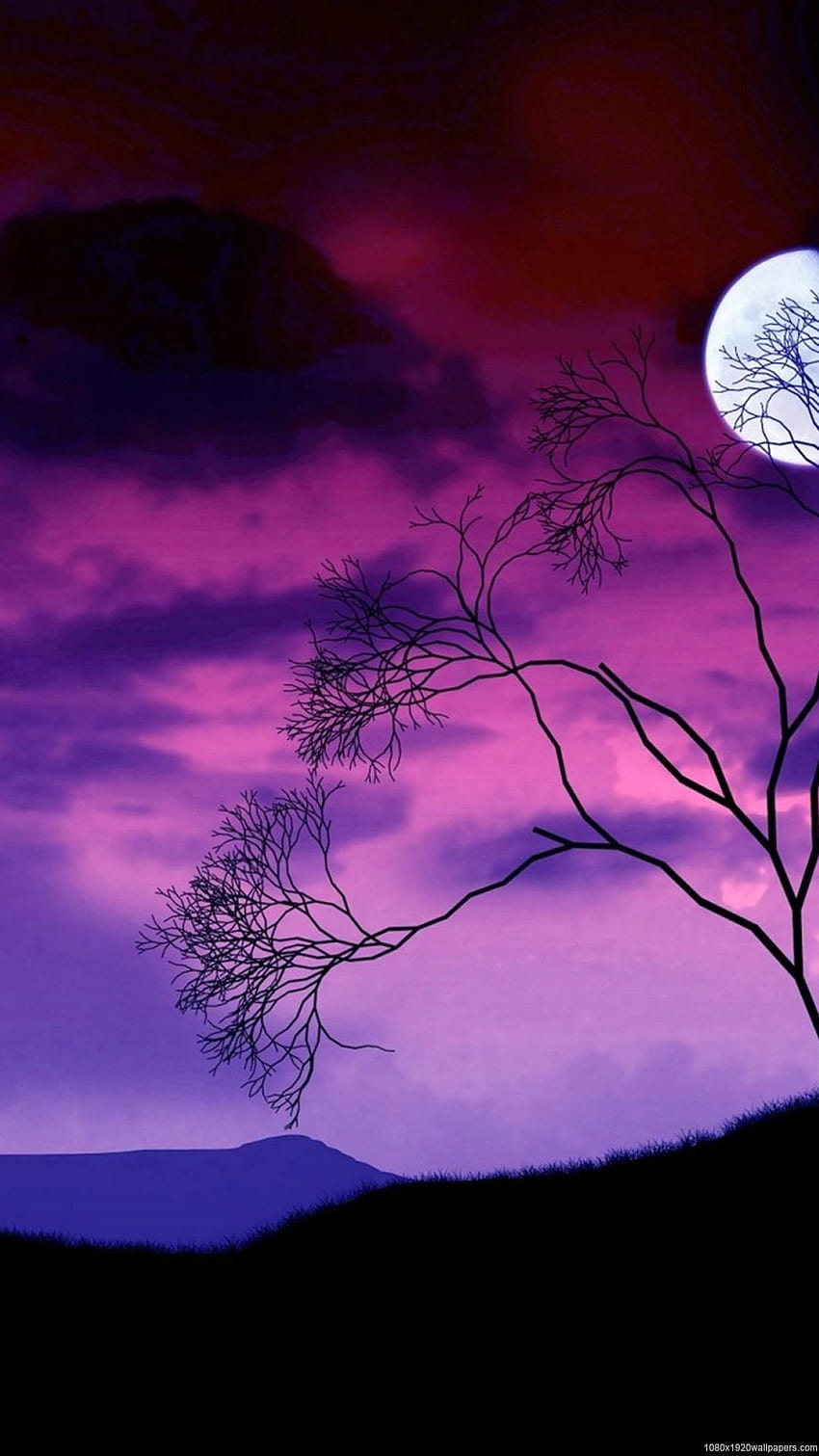 Nature Tree Night Sky Moon - Night Sky Moon - - HD phone wallpaper | Pxfuel